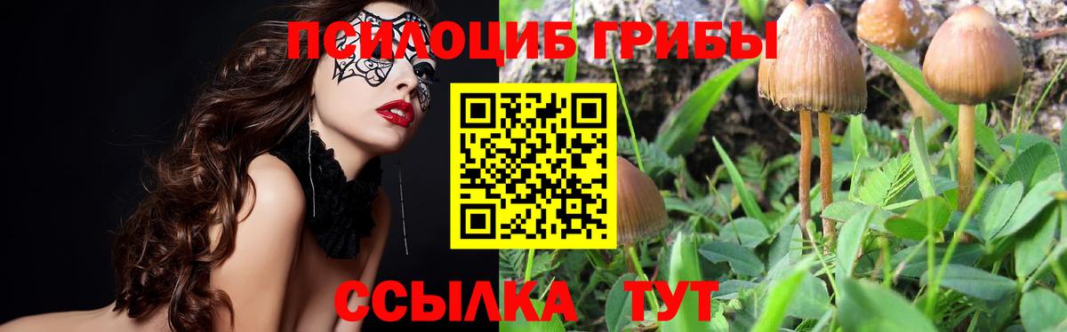 Псилоцибиновые грибы Magic Shrooms  Вход с VPN  Татарск 